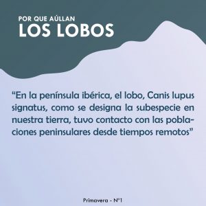 Por qué aúllan los lobos 2ª Parte