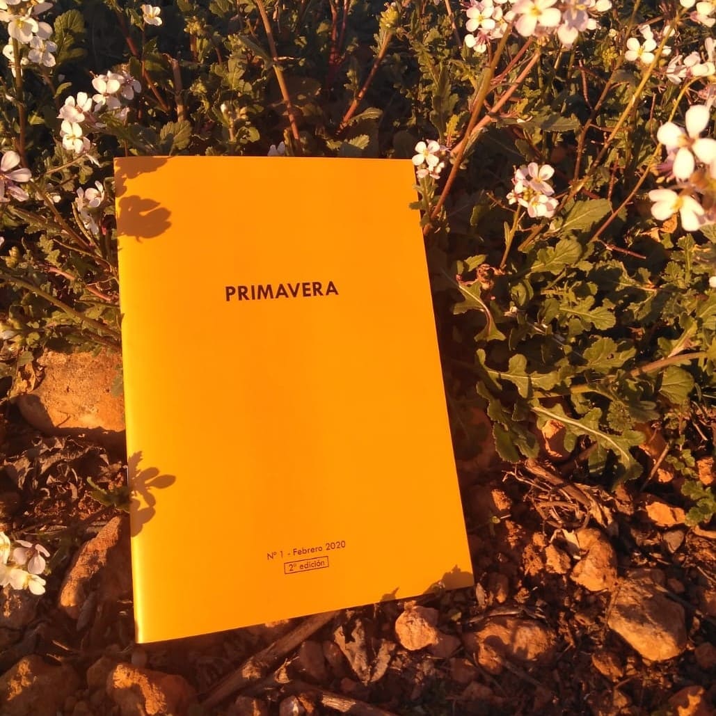 Primavera Fanzine Nº 1 - Imagen 2